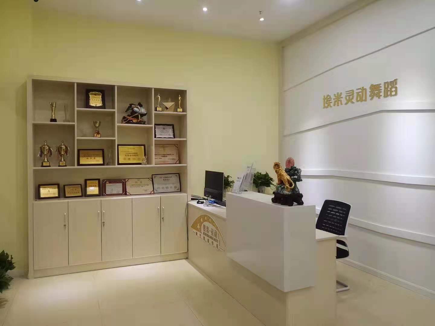 埃米·灵动 AI M LINE DONE DANCE培训学苑(图3)