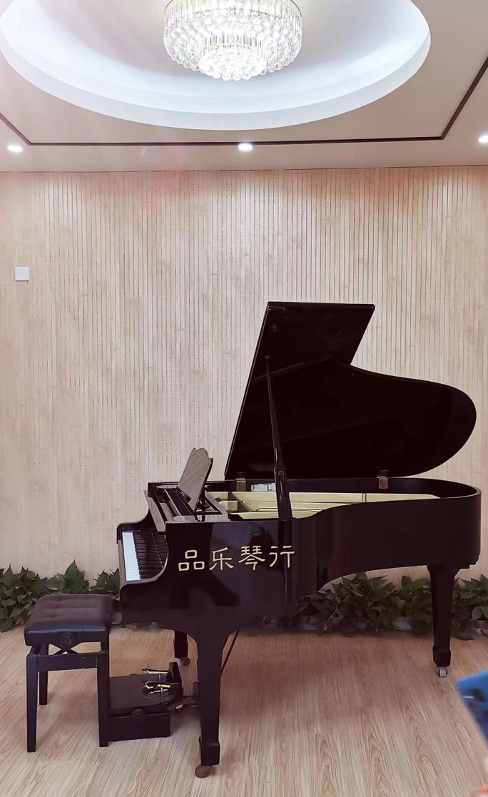 品乐琴行(图5)