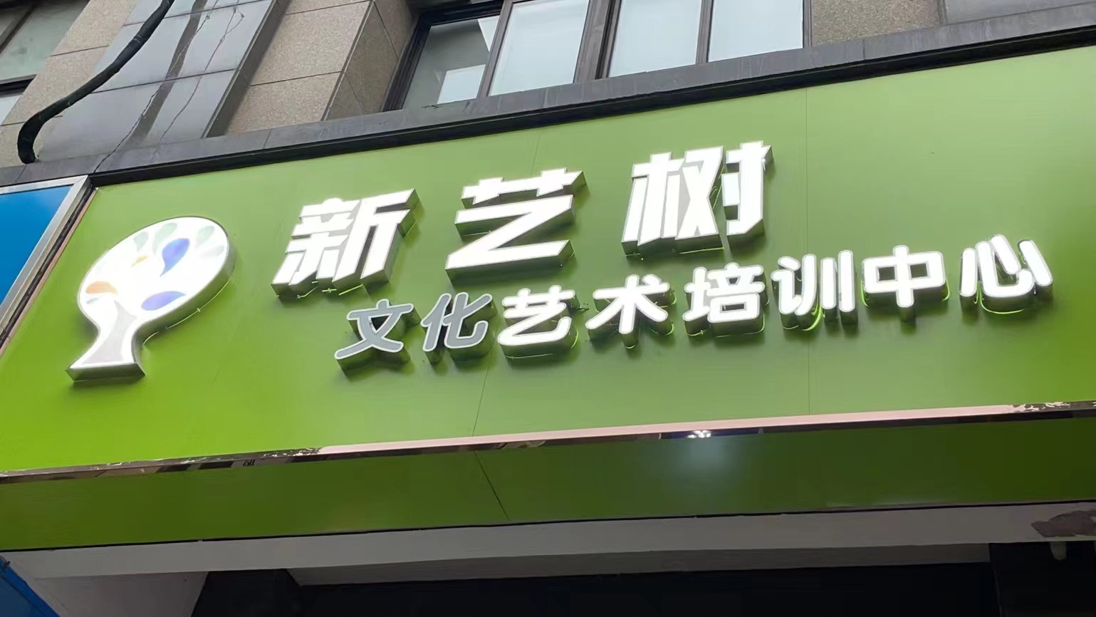    新艺树(图1)