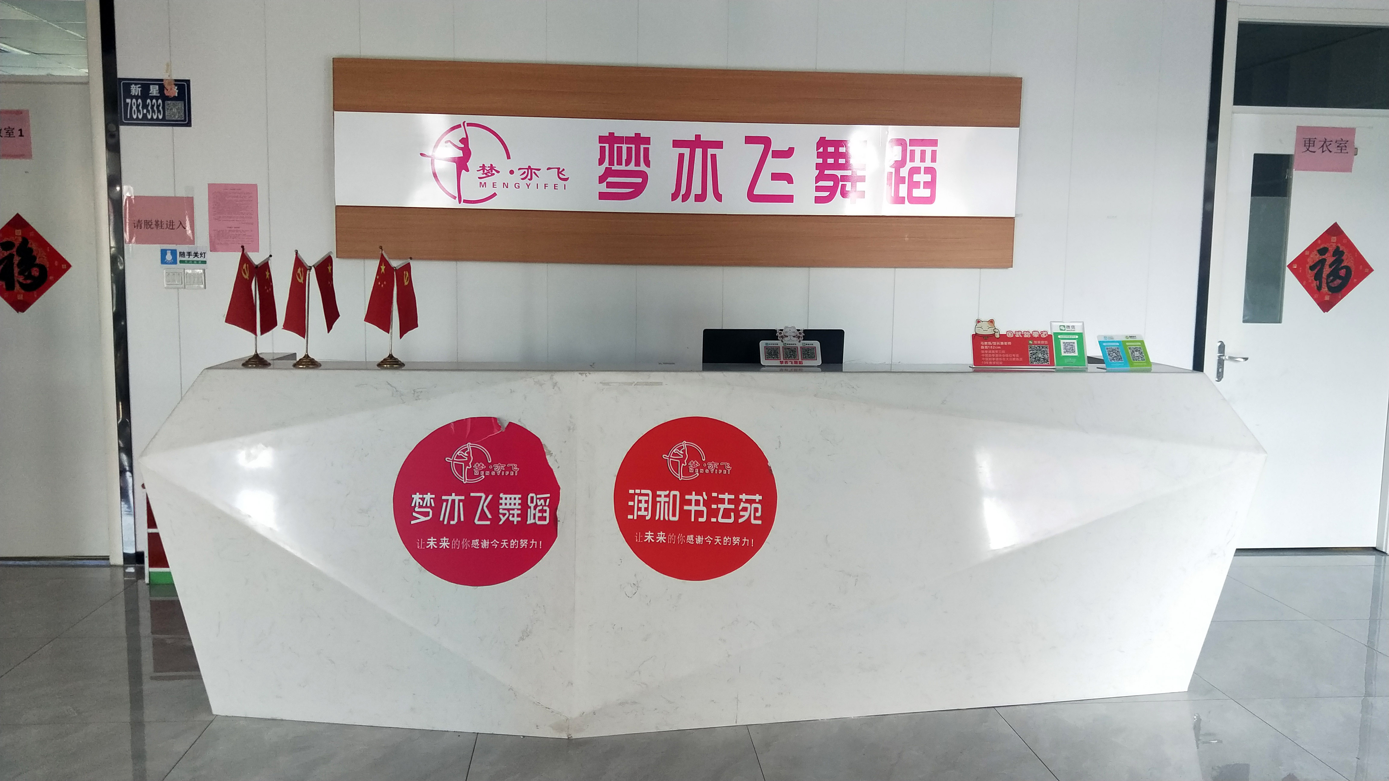 梦亦飞(图1)