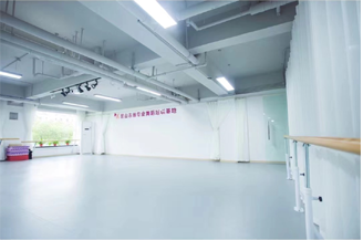 吉娜舞艺(图3)